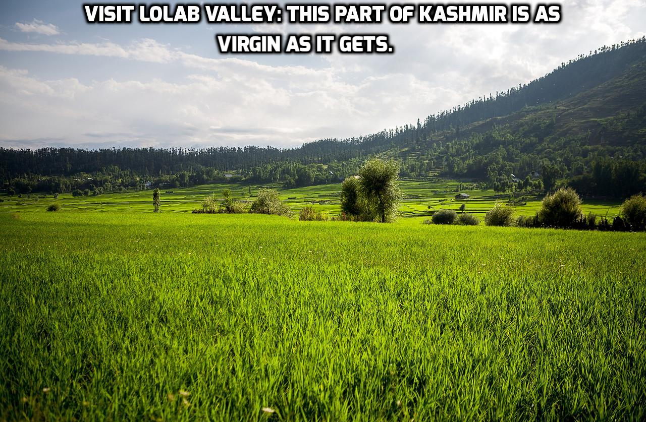 22 Offbeat Things to Do In Kashmir 48 lolabvalley_kashmir