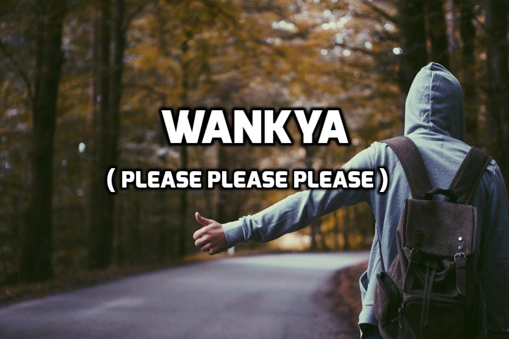 wankya