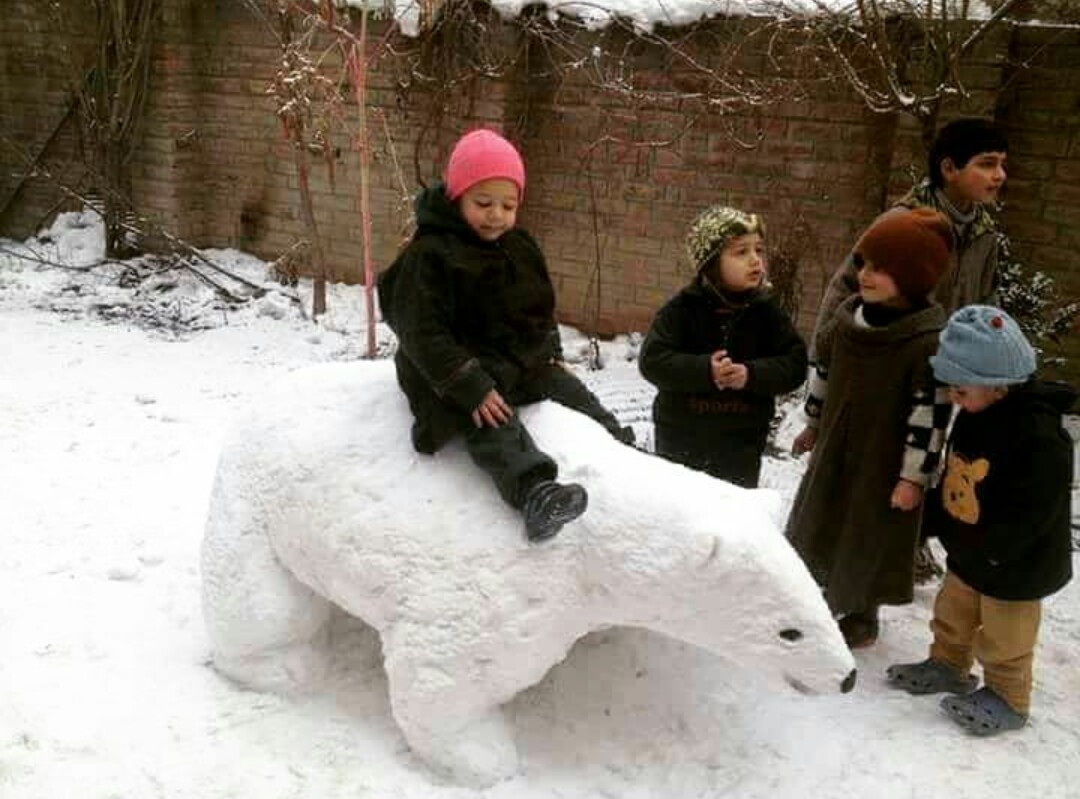 kashmiri bear snowsculpture