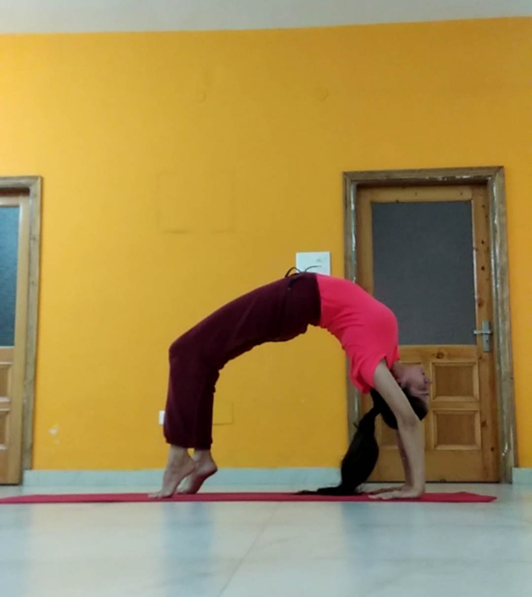 wheel yoga chakarasana