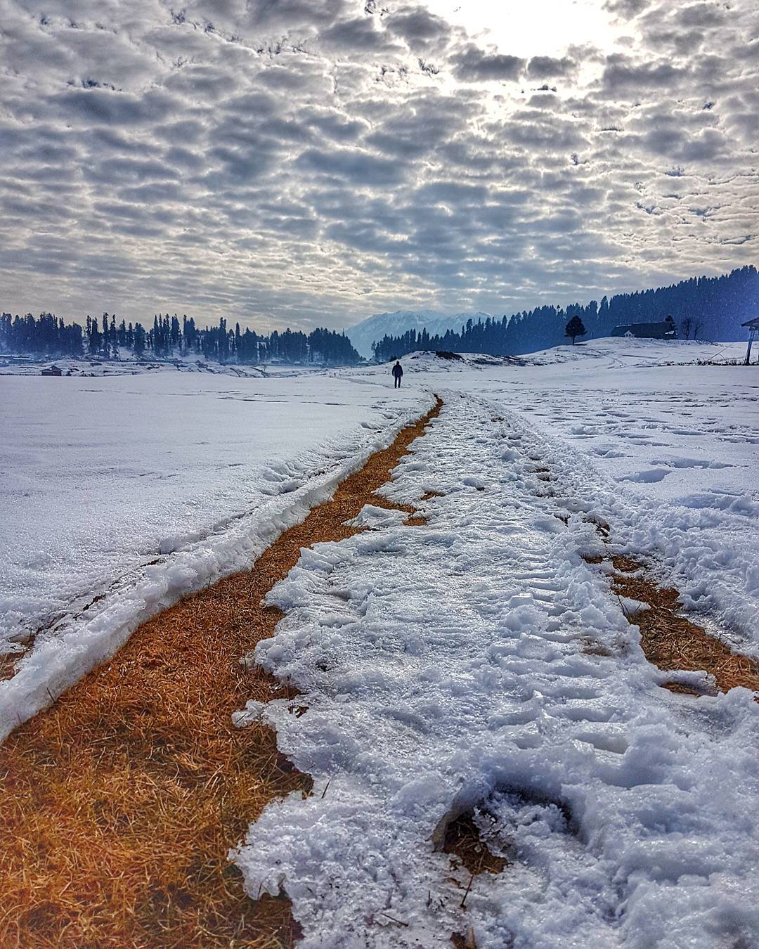 Gulmarg walk