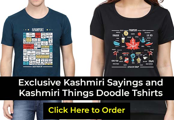 Kashmiri tshirts