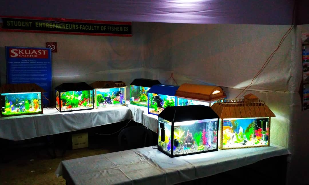 crsytal aquatics kashmir