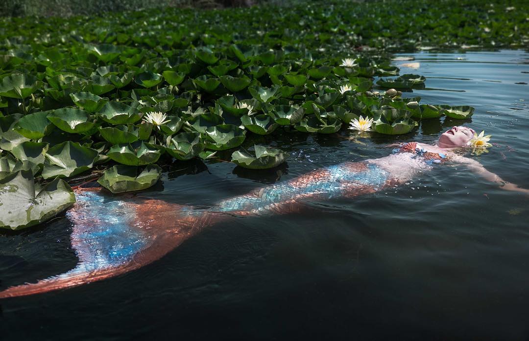 bikini kashmiri dal lake fish