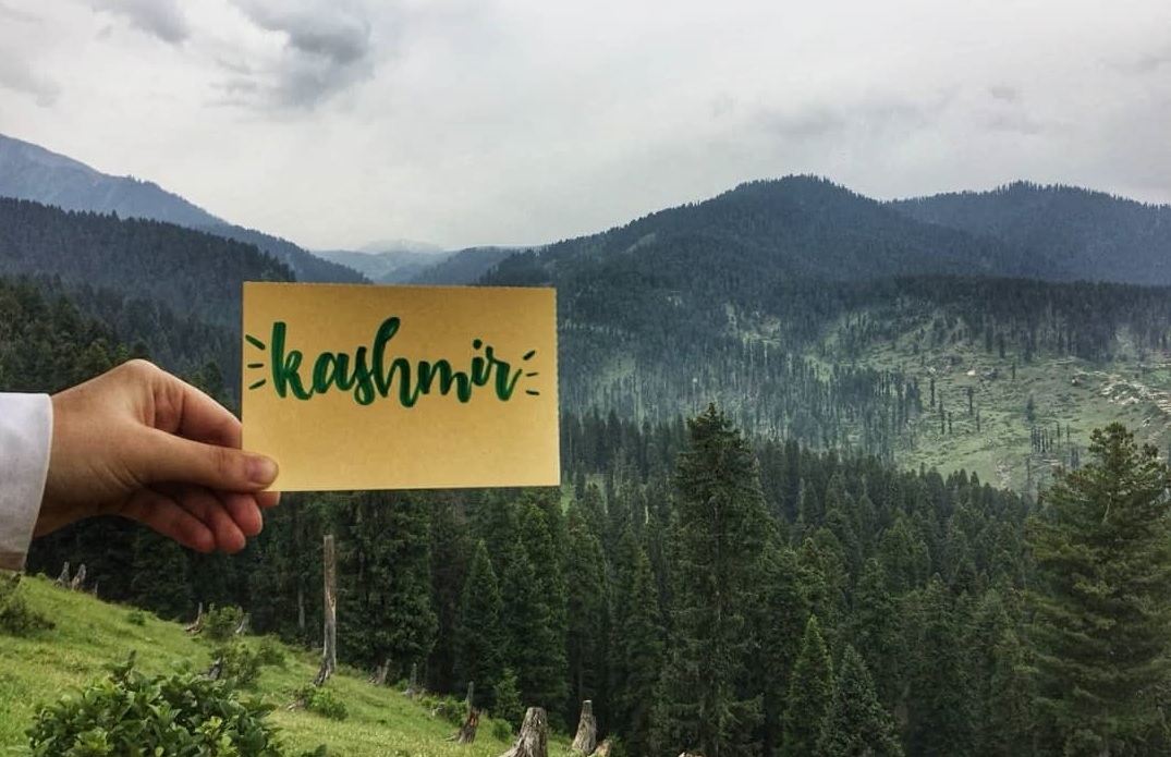 THINGS YOU CAN DO WITH KIDS IN KASHMIR