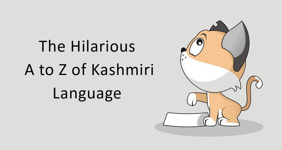 The Hilarious A to Z of Kashmiri Language - Gyawun The Hilarious A to Z of Kashmiri Language - Gyawun