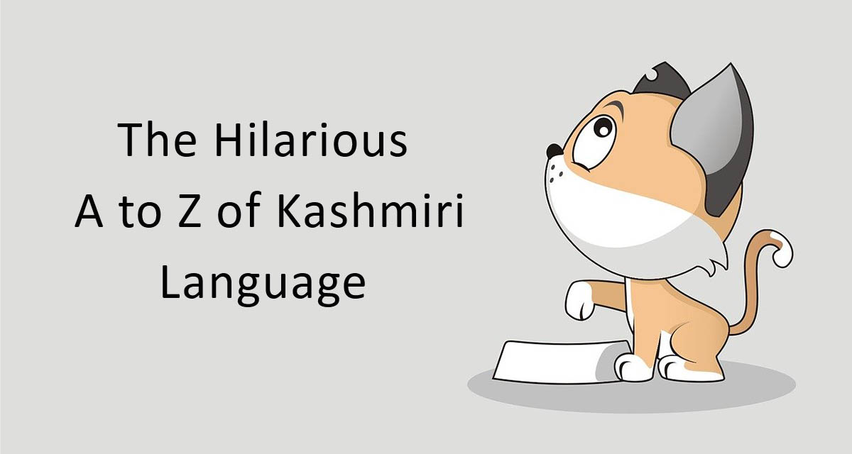 The Hilarious A to Z of Kashmiri Language