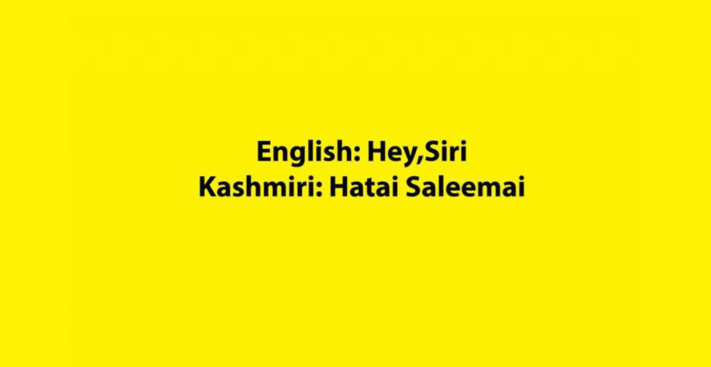 kashmiri english funny