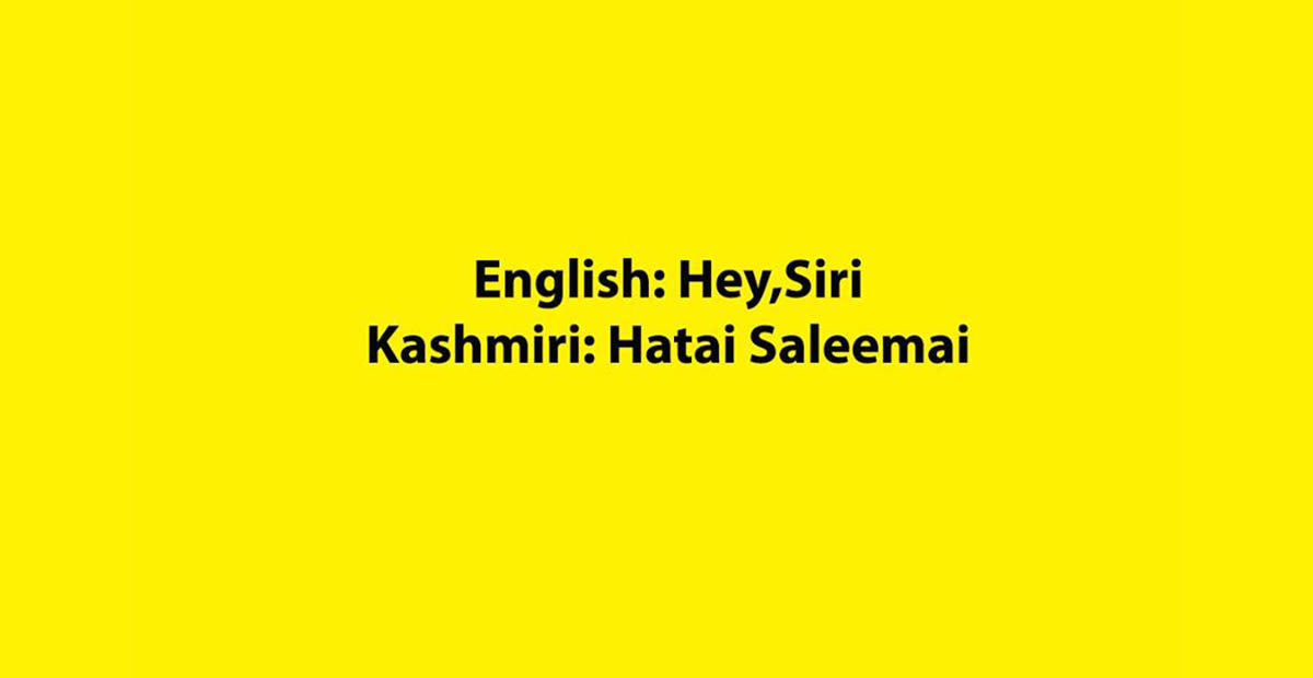 English Vs Kashmiri - Gyawun