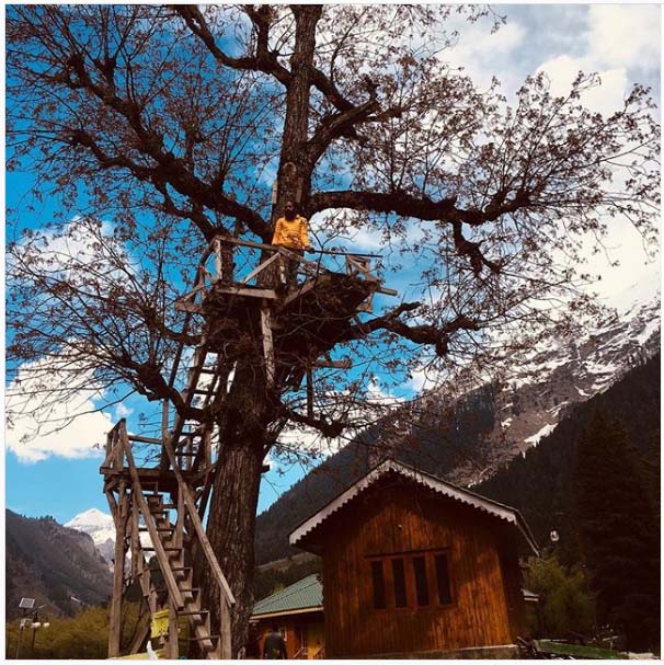 treehouse kashmir