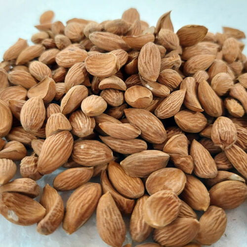 kashmiri almonds