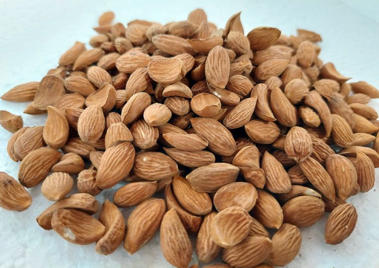 kashmiri almonds