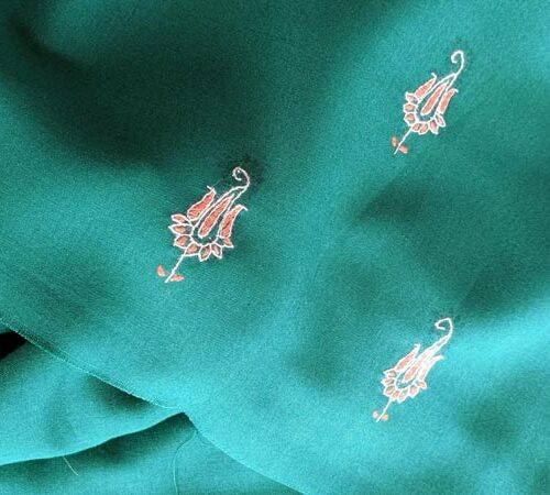 green suit kashmiri