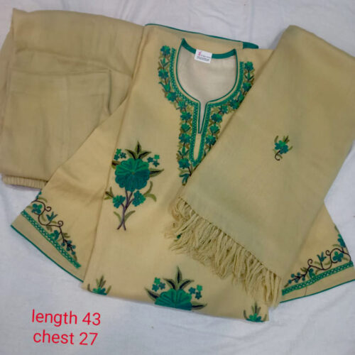 kashmiri dress light color