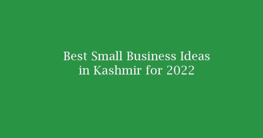 business ideas kashmir