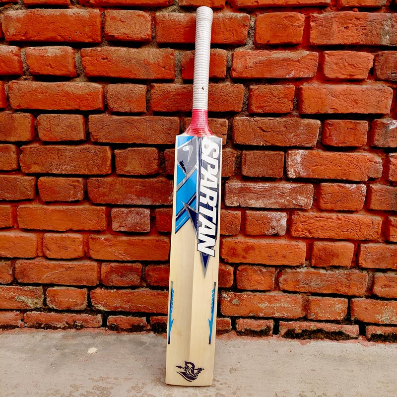 SPARTAN Kashmir Willow Double Blade Cricket Bat ( Leather Ball ) Gyawun