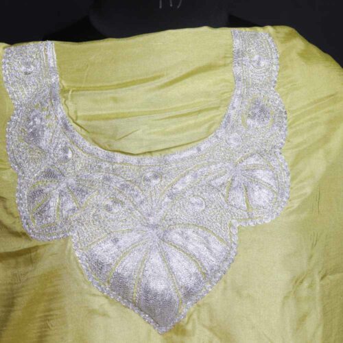 Kashmiri Summer tilla suit 20231116 02