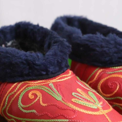 Kashmiri leather socks 20231116 37